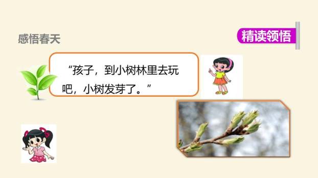 小蜗牛PPT课件21