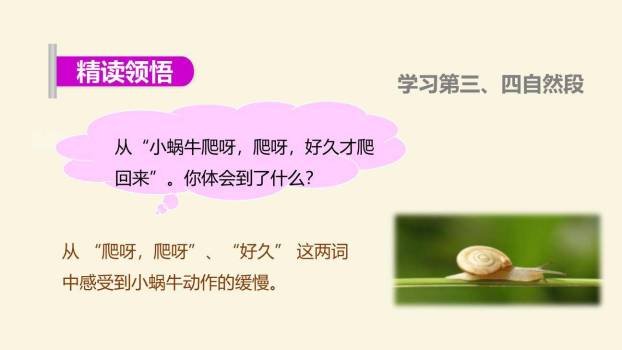 小蜗牛PPT课件24