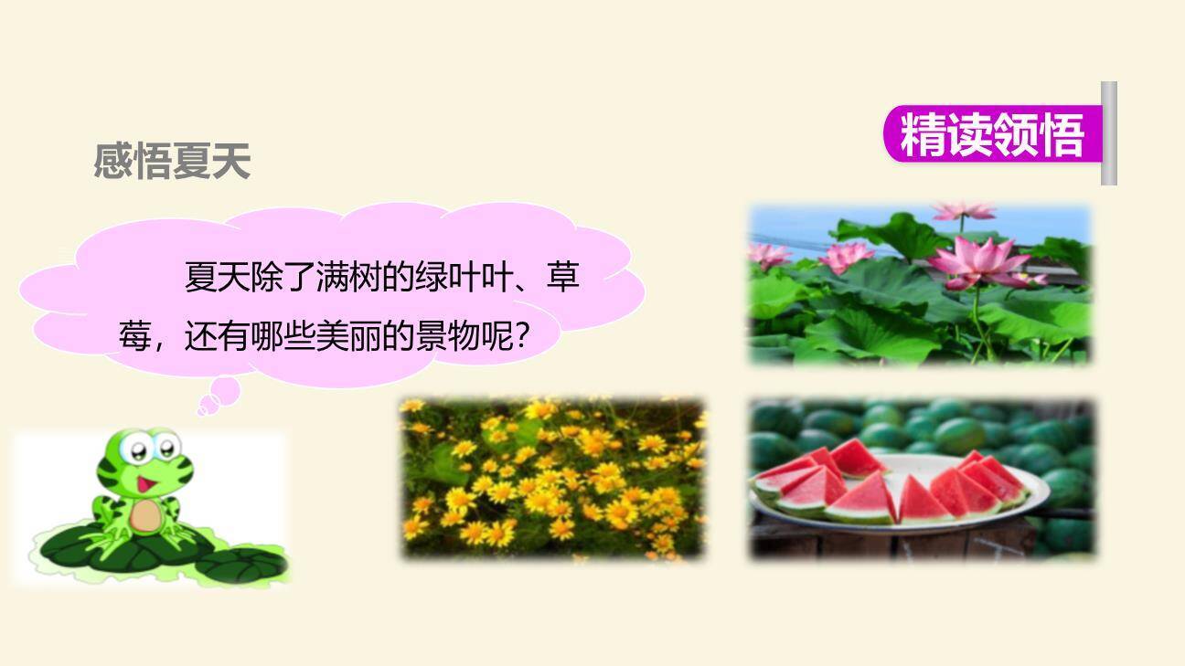 小蜗牛PPT课件26