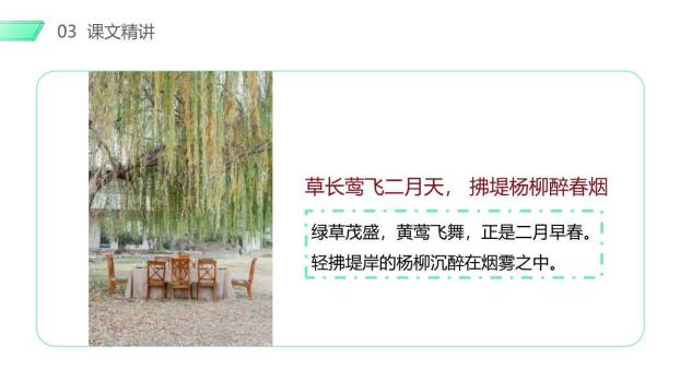 村居咏柳PPT课件8