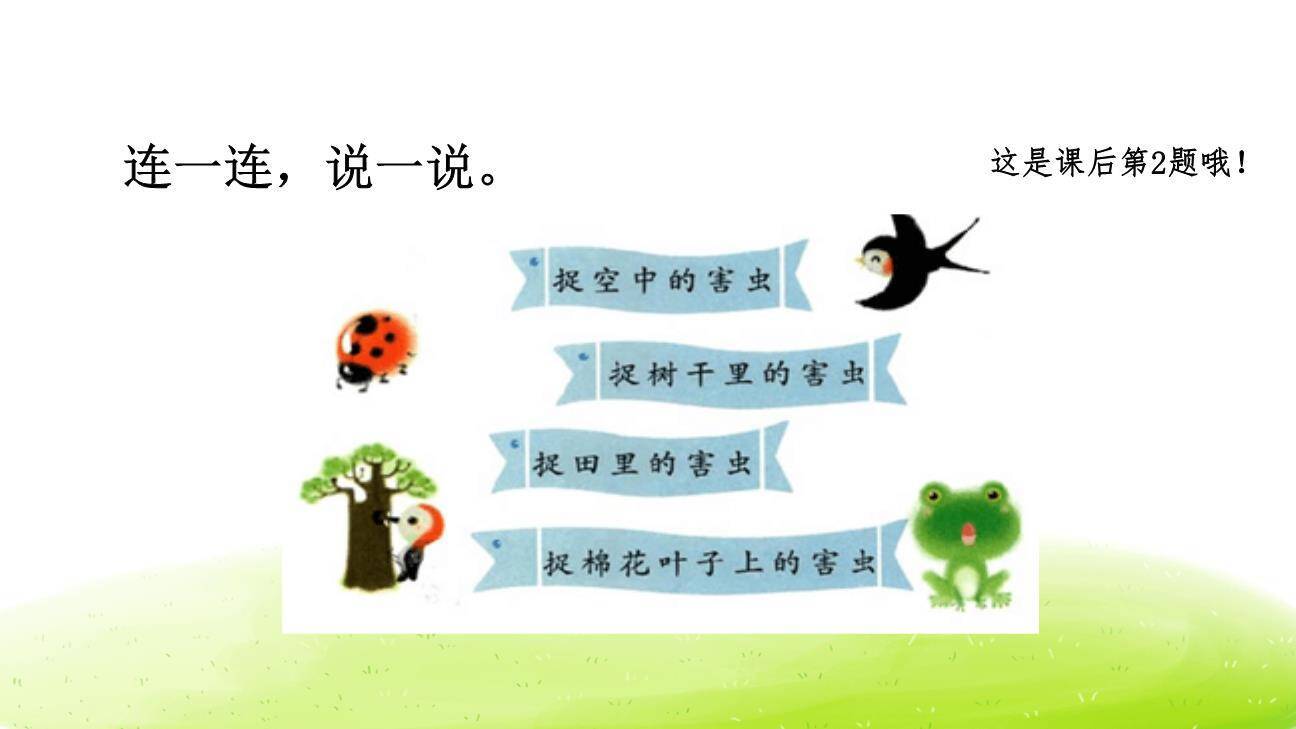 棉花姑娘PPT课件38