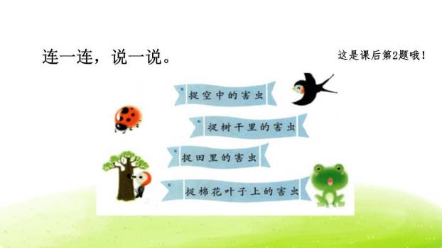 棉花姑娘PPT课件38