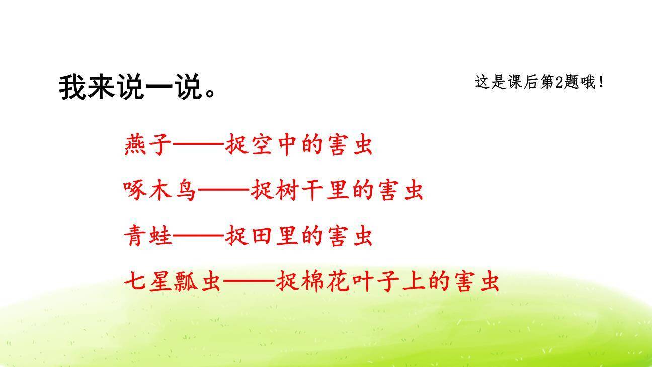 棉花姑娘PPT课件39