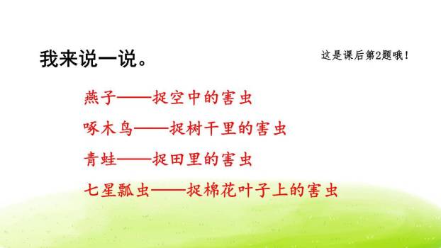 棉花姑娘PPT课件39