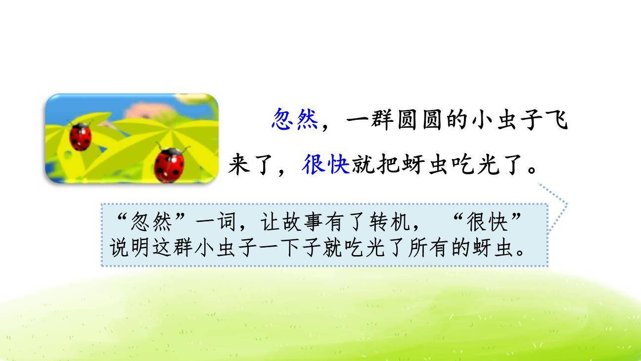 棉花姑娘PPT课件32