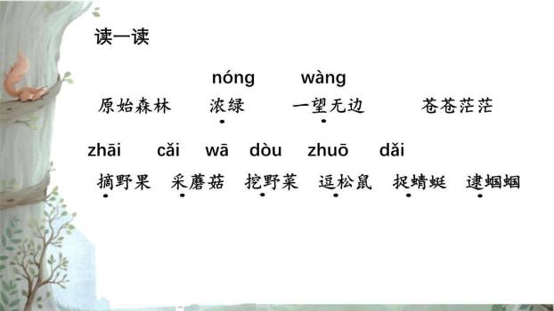 祖先的摇篮PPT课件47