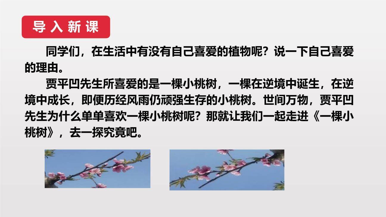 一颗小桃树PPT课件68