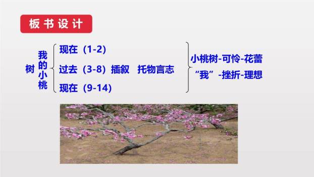 一颗小桃树PPT课件67