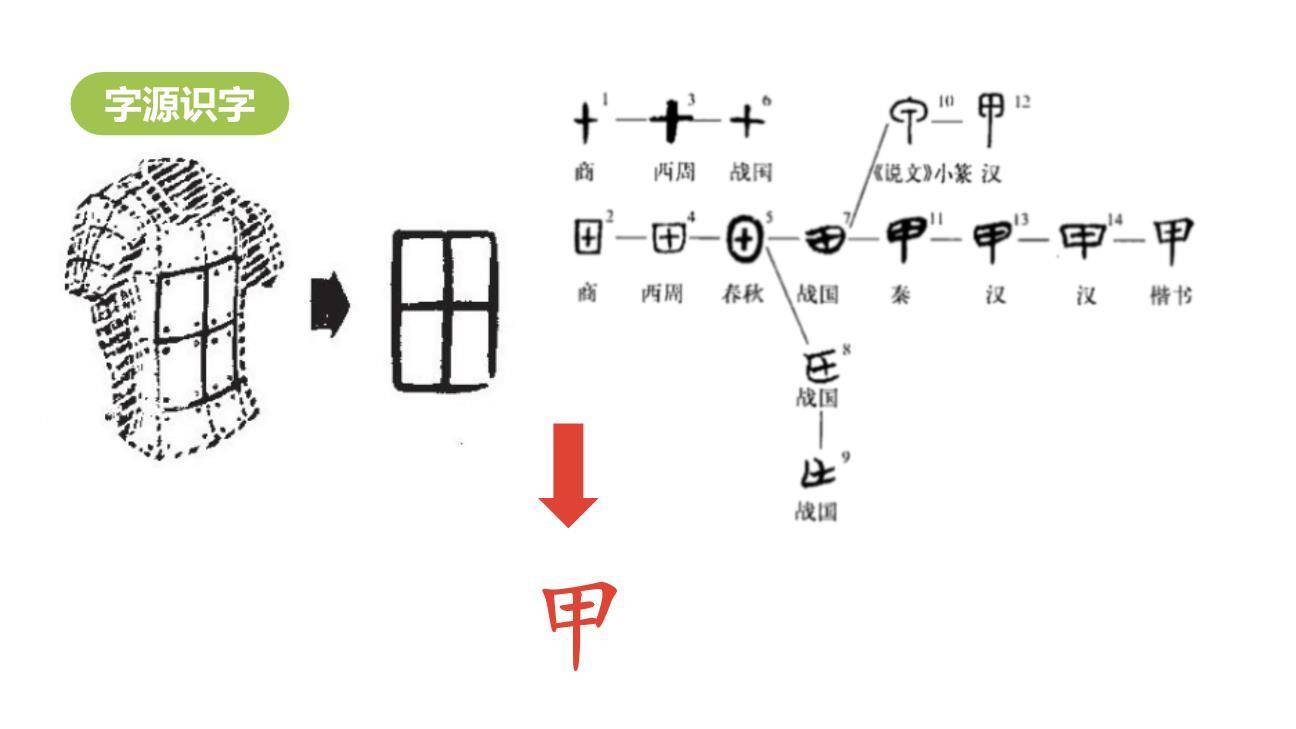 贝的故事PPT课件48