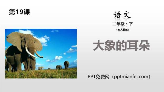 大象的耳朵PPT课件20