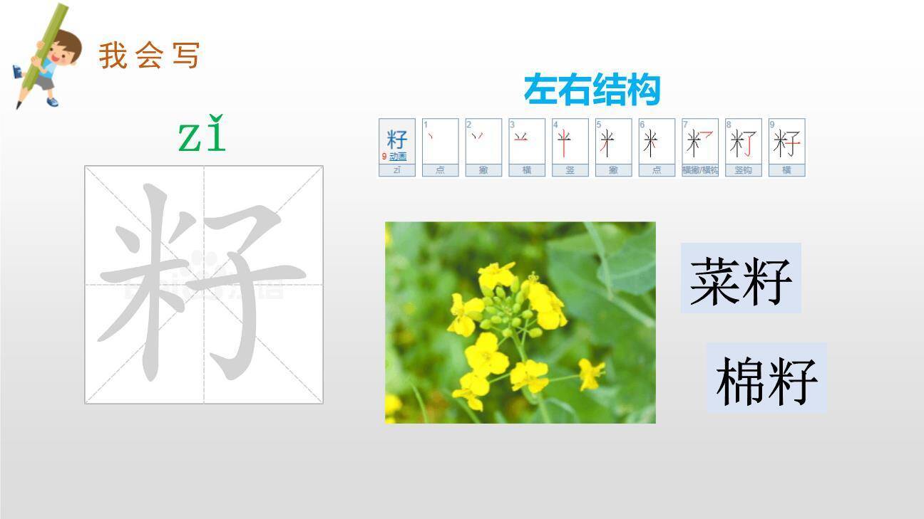 青蛙卖泥塘PPT课件12
