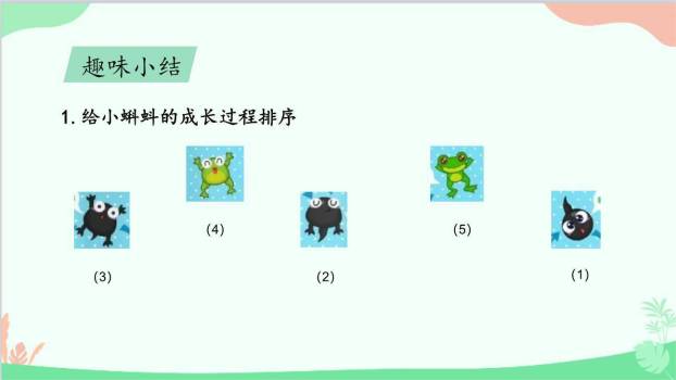 小蝌蚪找妈妈PPT课件21