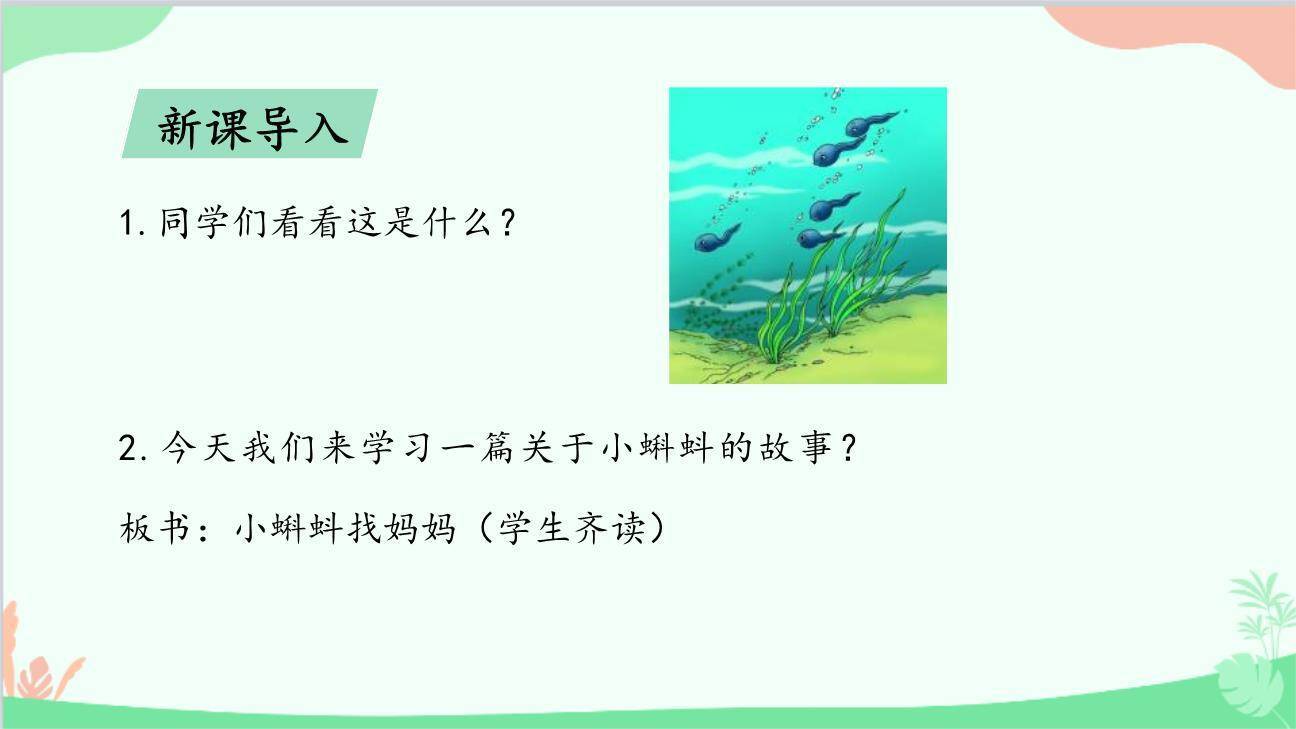 小蝌蚪找妈妈PPT课件23