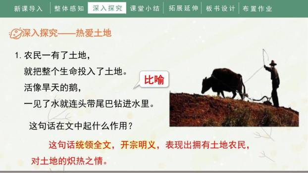 三黑和土地PPT课件84