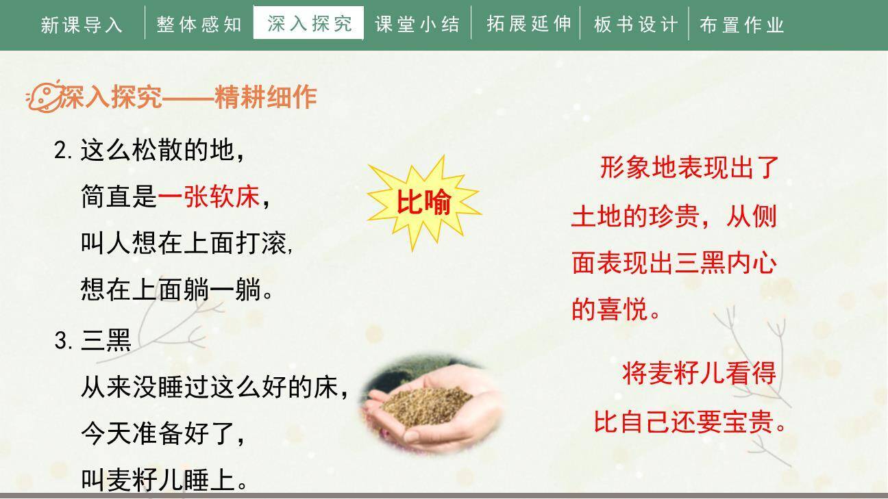 三黑和土地PPT课件87