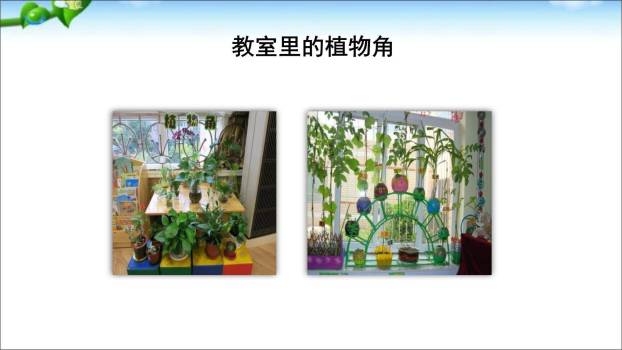 我有一个想法PPT课件48