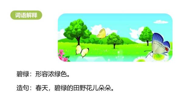 棉花姑娘PPT课件69