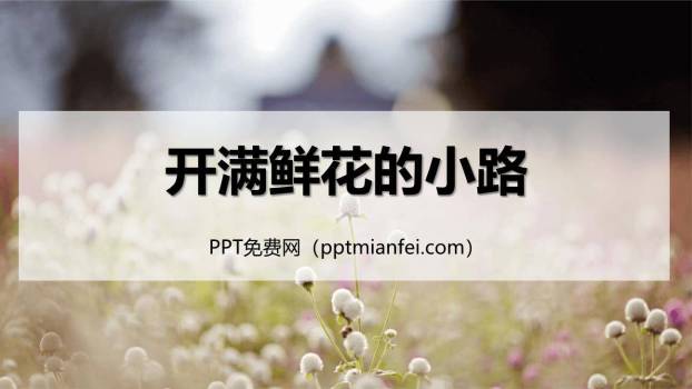 开满鲜花的小路PPT课件20