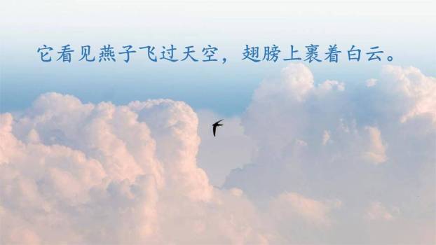 三月桃花水PPT课件56