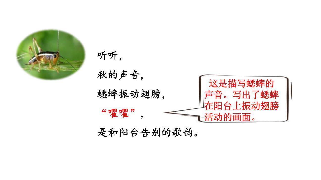 听听秋的声音PPT课件69