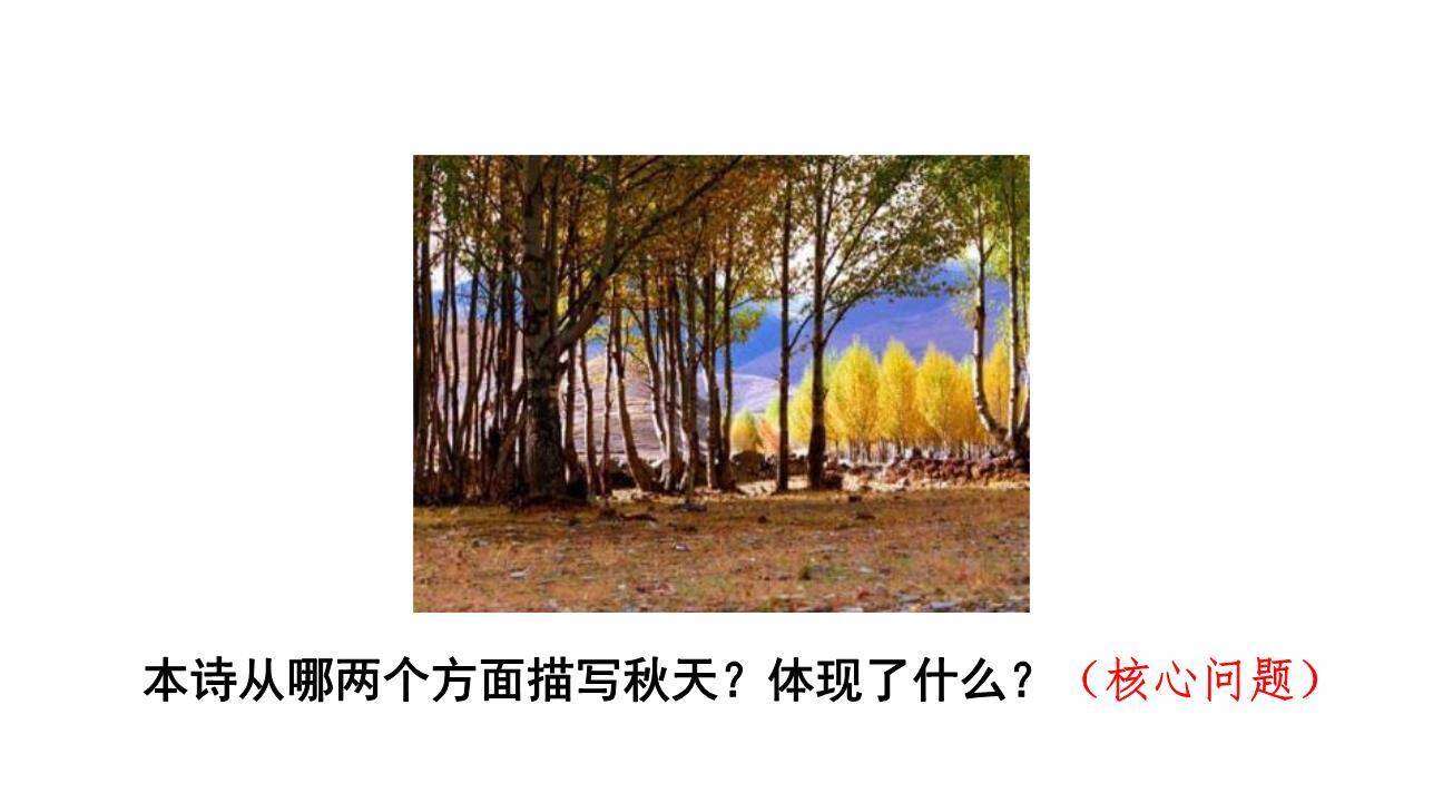 听听秋的声音PPT课件66