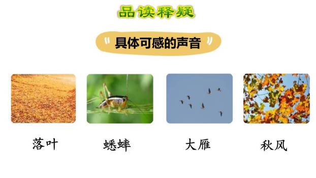 听听秋的声音PPT课件67