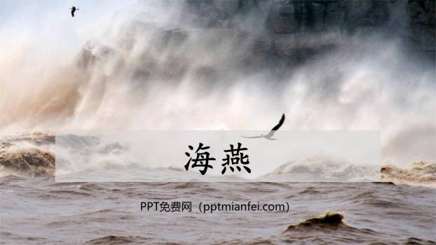 海燕PPT课件30