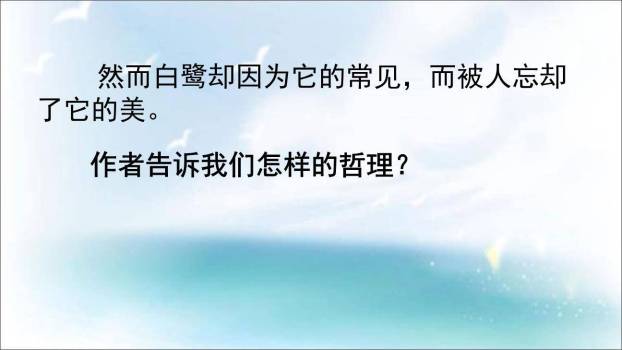 白鹭PPT课件55