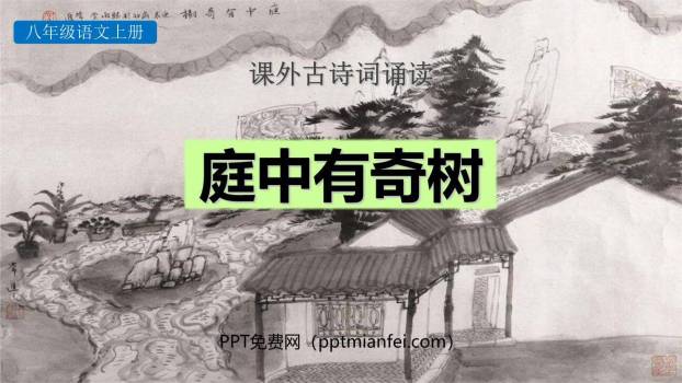 庭中有奇树PPT课件10