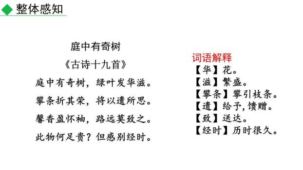 庭中有奇树PPT课件12