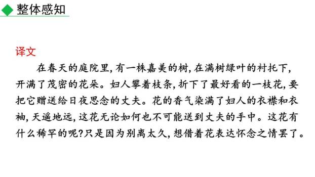 庭中有奇树PPT课件13