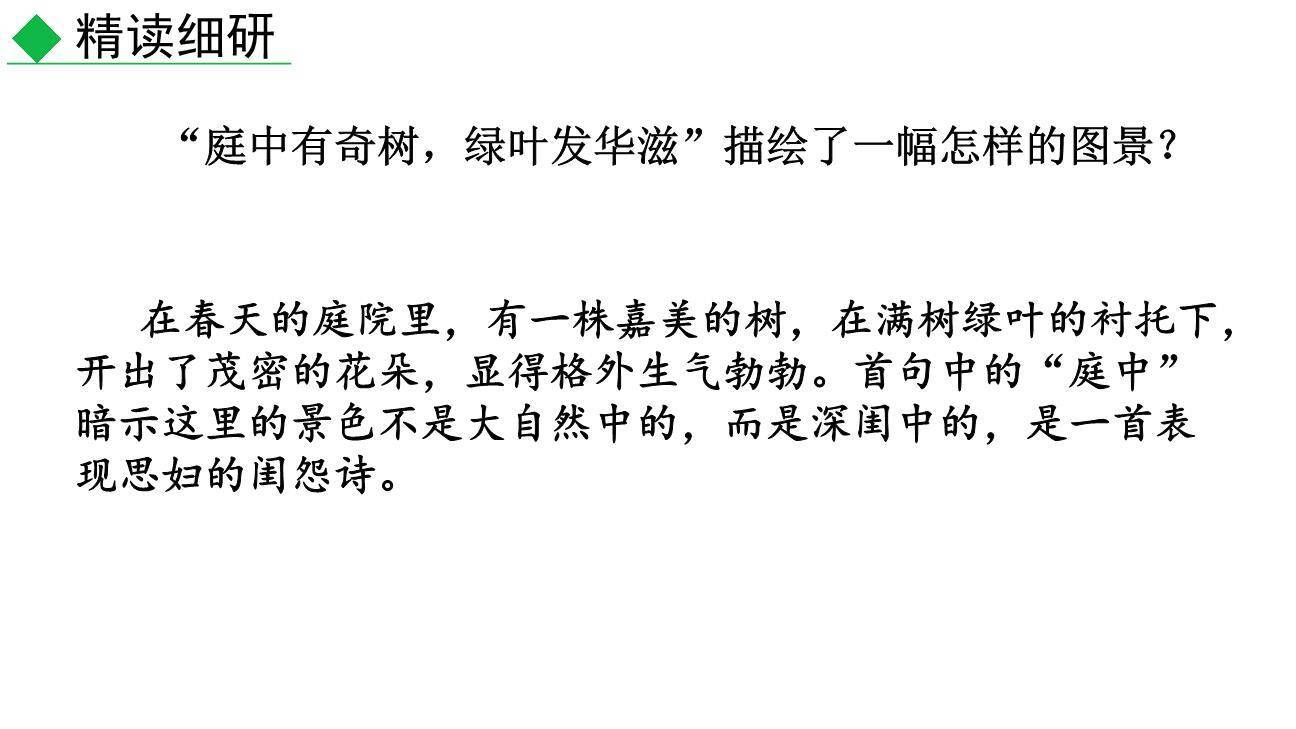 庭中有奇树PPT课件14