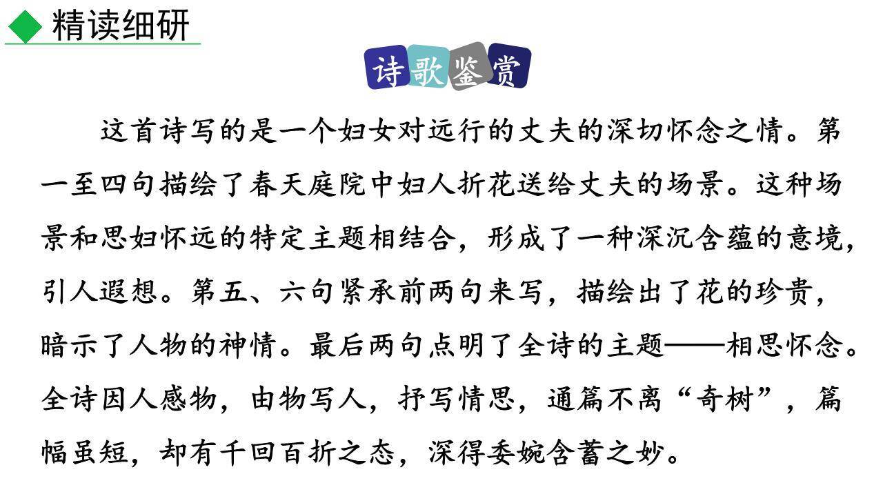 庭中有奇树PPT课件17