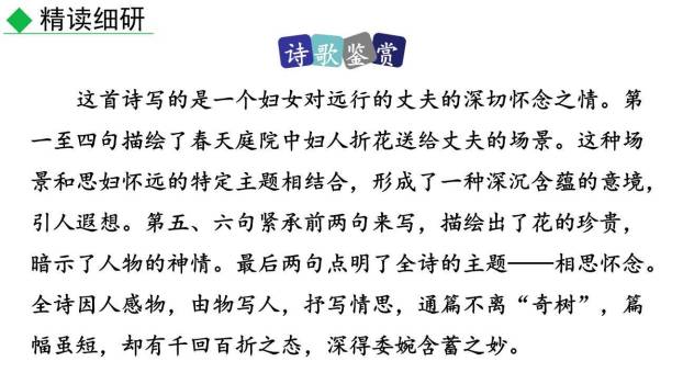 庭中有奇树PPT课件17