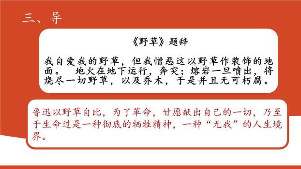 有的人—纪念鲁迅有感PPT课件46