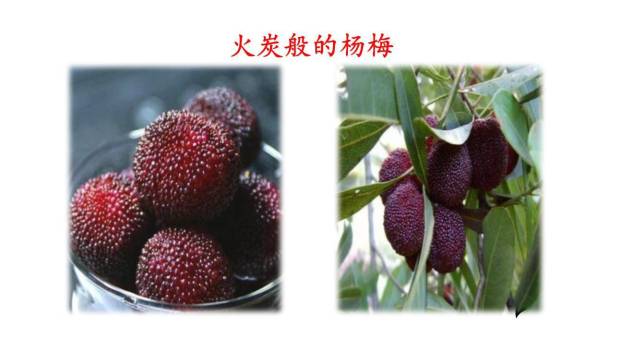 昆明的雨PPT课件81