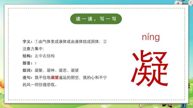 父亲树林和鸟PPT课件13