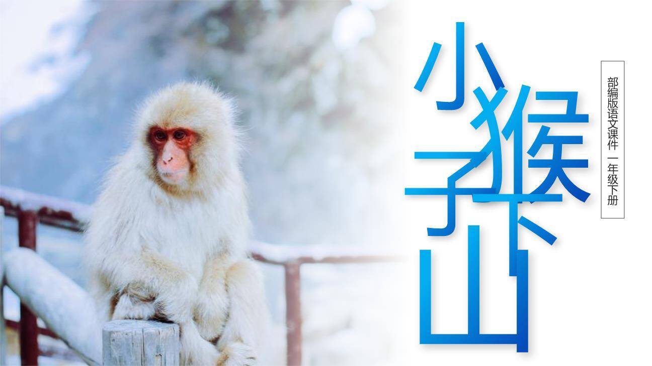 小猴子下山PPT课件30