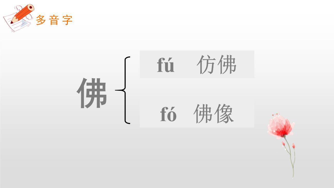 小毛虫PPT课件17