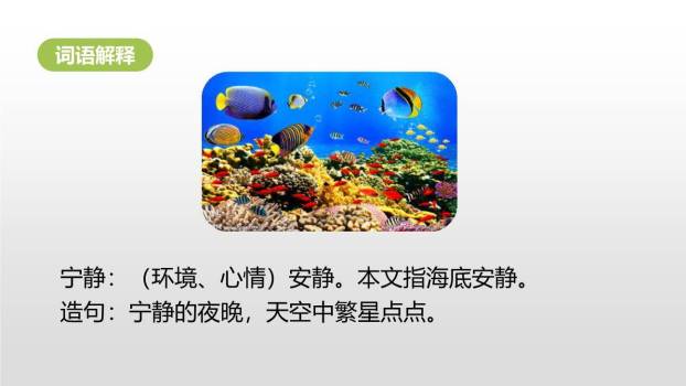 海底世界PPT课件74