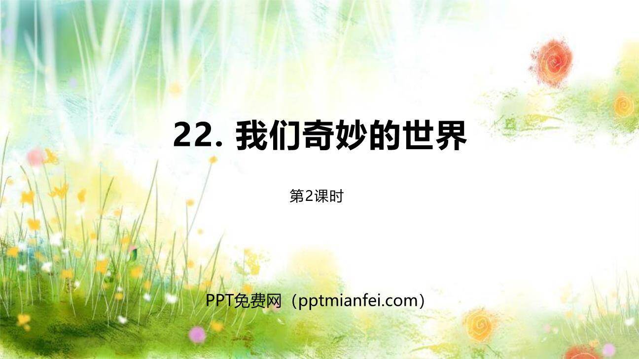 我们奇妙的世界PPT课件50