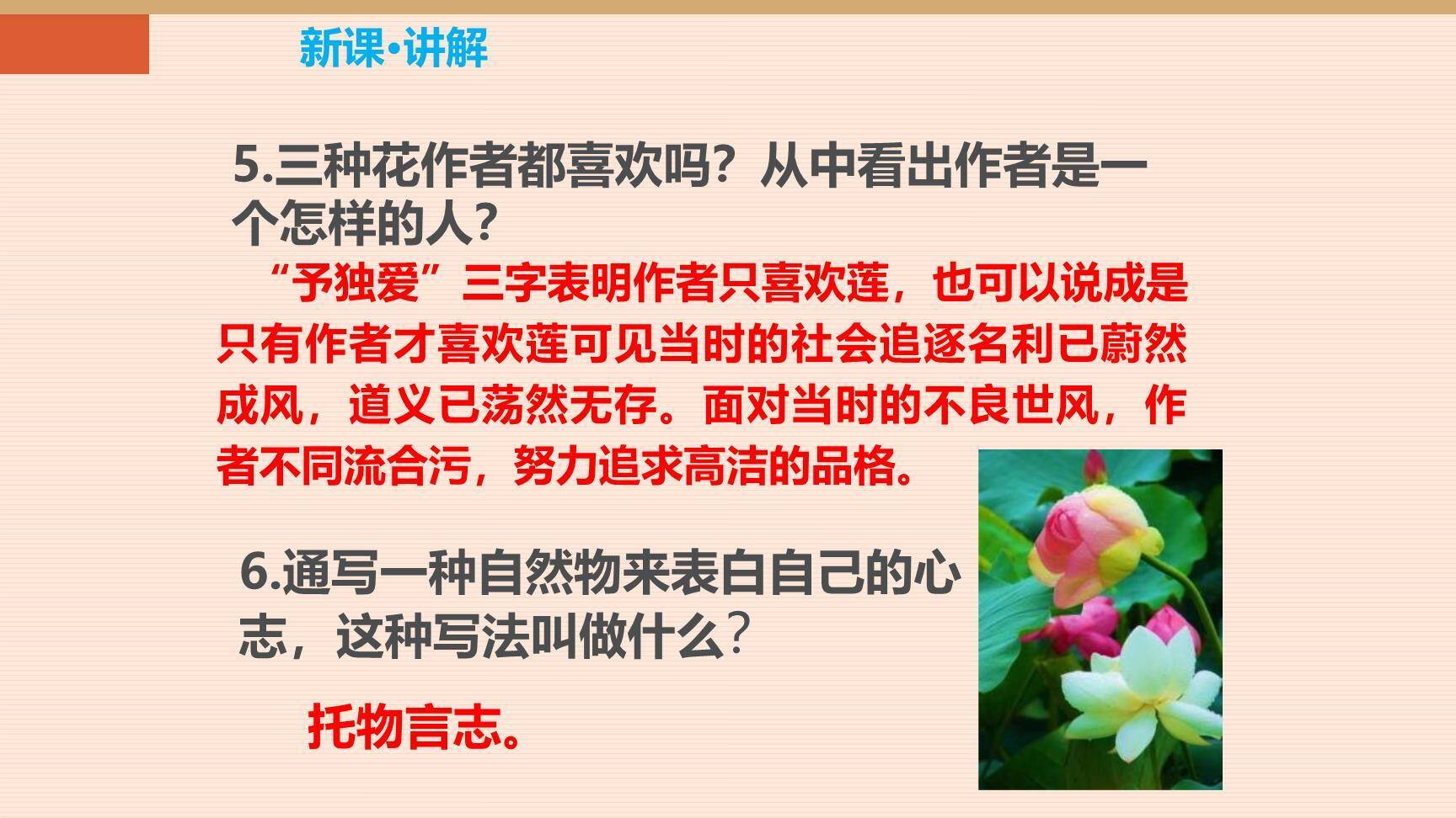 爱莲说PPT课件45