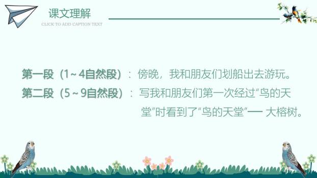 鸟的天堂PPT课件12