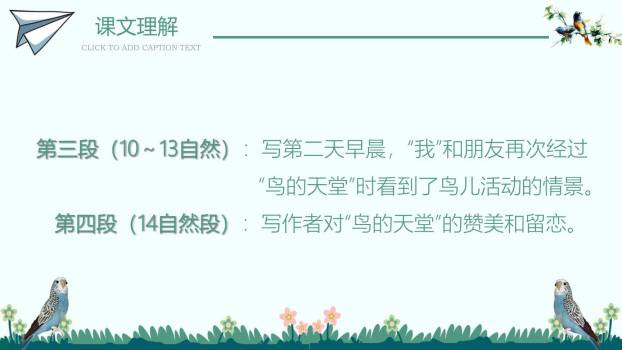 鸟的天堂PPT课件13