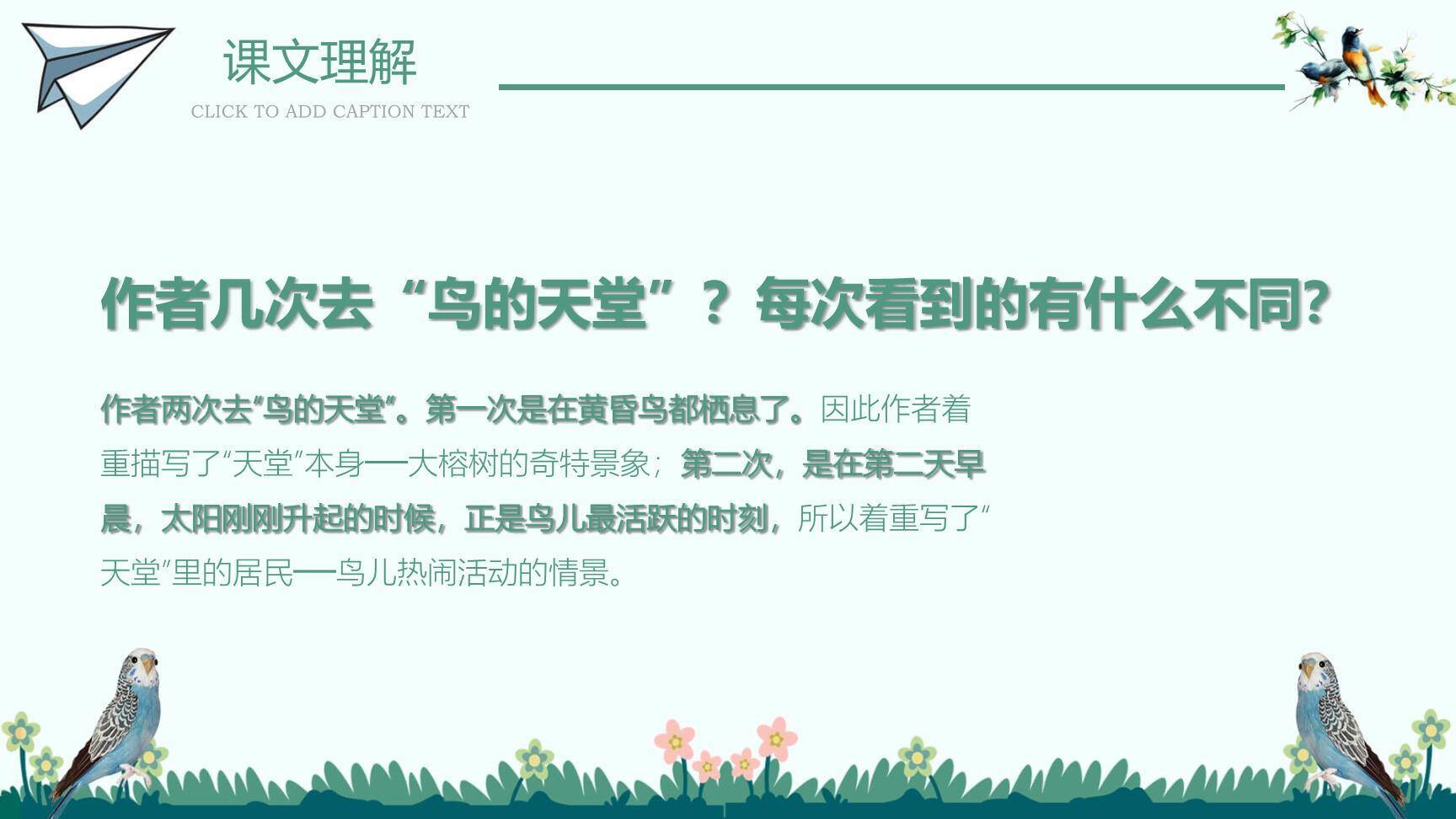 鸟的天堂PPT课件14
