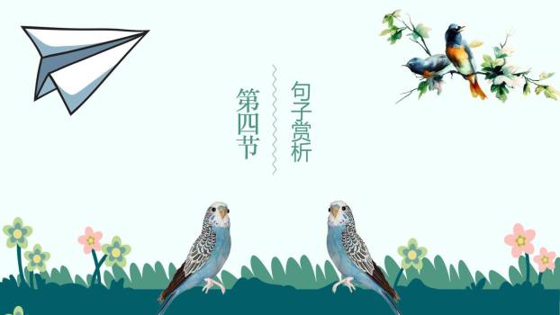 鸟的天堂PPT课件16