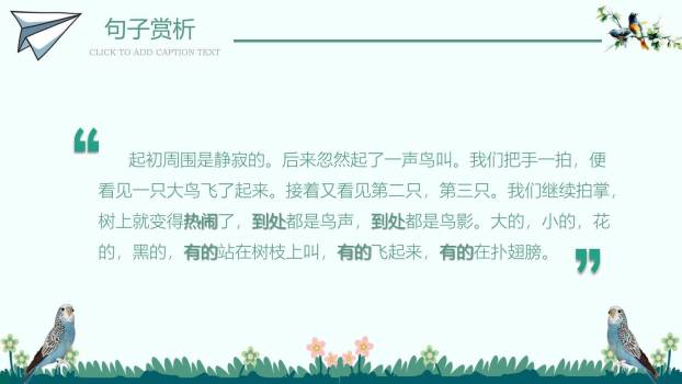 鸟的天堂PPT课件17