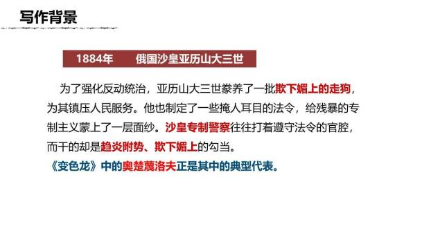 变色龙PPT课件12