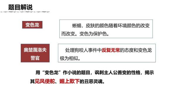变色龙PPT课件13