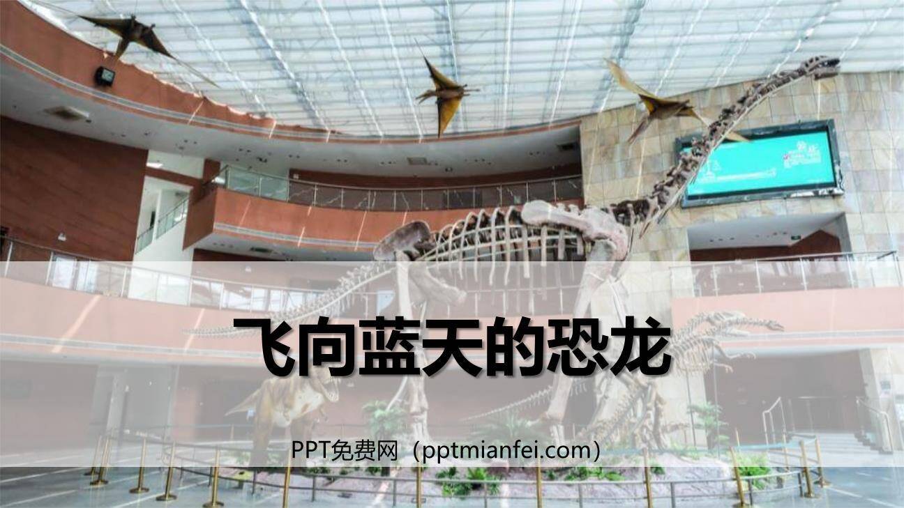 飞向蓝天的恐龙PPT课件10